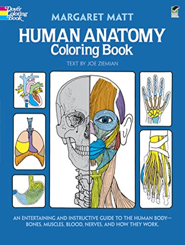 Download The Best Anatomy Coloring Book Of 2021 Conquer Your Exam