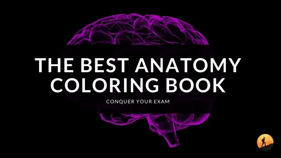 The Best Anatomy Coloring Book