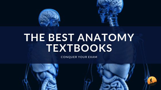 The Best Anatomy Textbooks