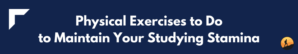 Physical Exercises to Do to Maintain Your Studying Stamina