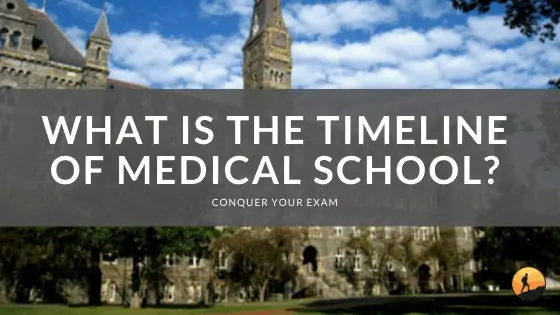 What is the Timeline of Medical School
