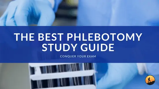 The Best Phlebotomy Study Guide