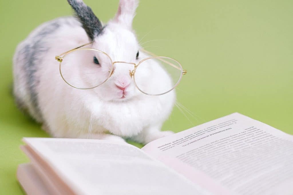 What Does Research Say About Cramming?