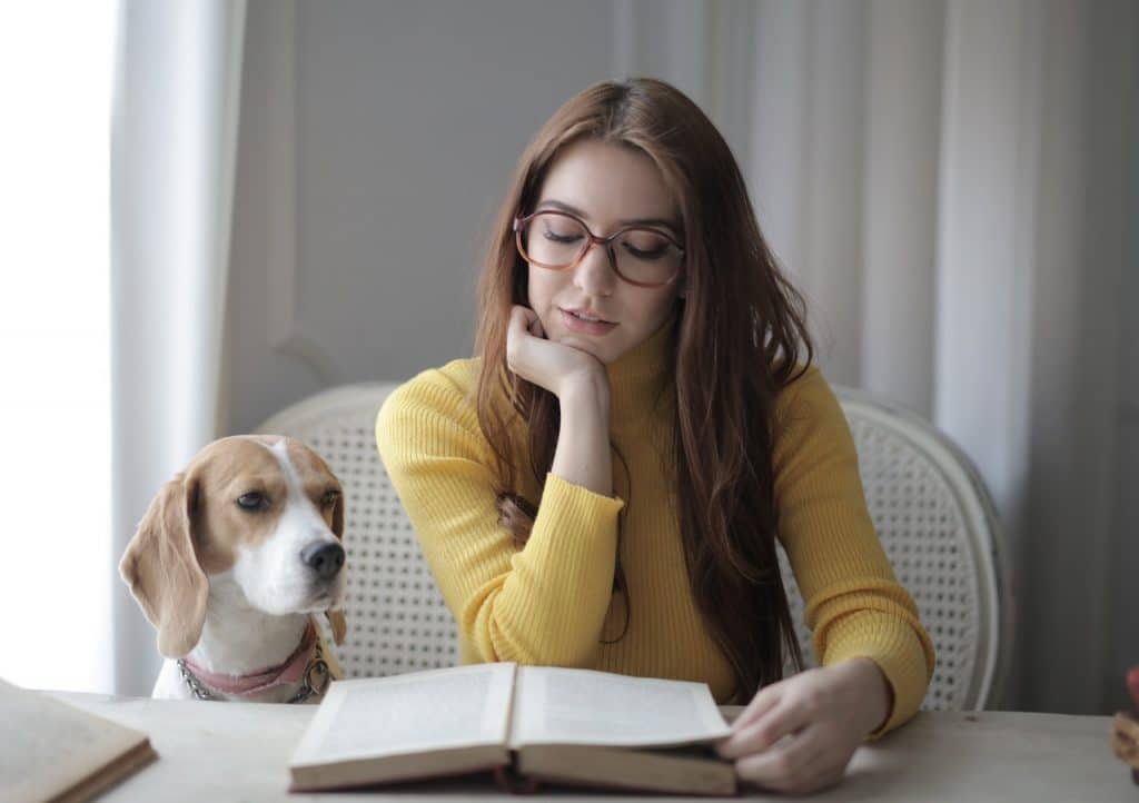 When is the Best Time to Memorize? Morning vs Night Studying