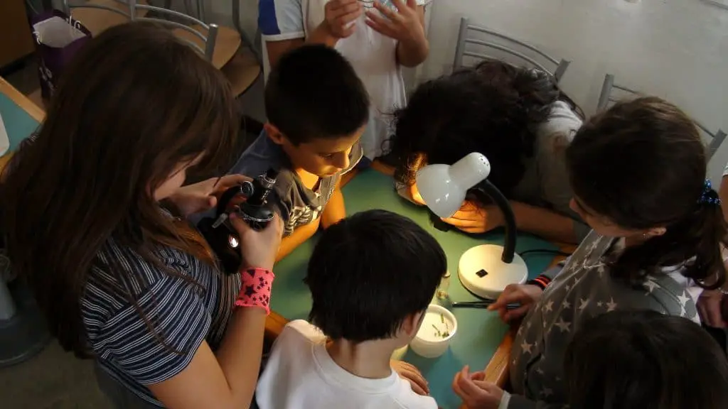 9 Inquiry Based Learning Activities and Examples for Teachers