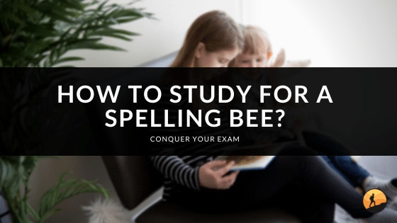 How to Study for a Spelling Bee?