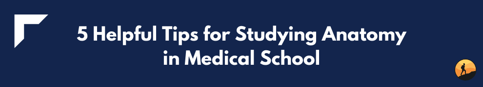 5 Helpful Tips for Studying Anatomy in Medical School