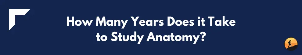 How Many Years Does it Take to Study Anatomy?
