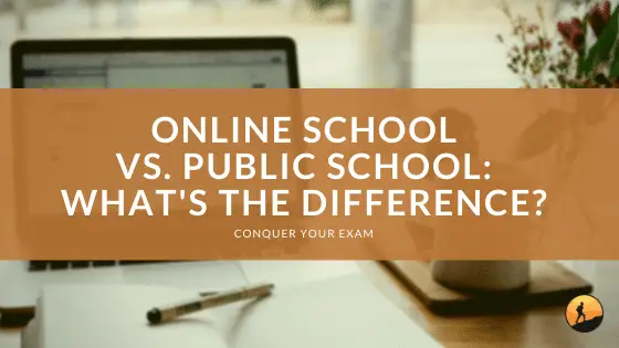 Online School vs. Public School