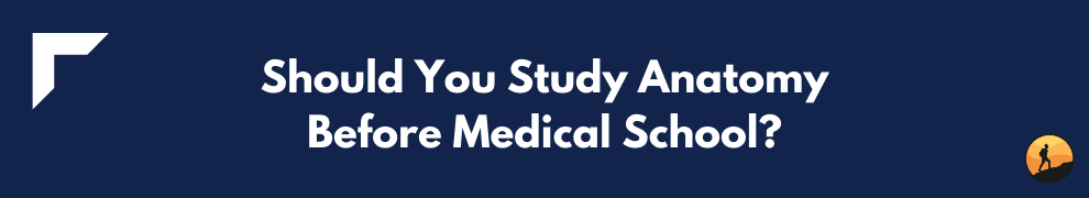 Should You Study Anatomy Before Medical School?