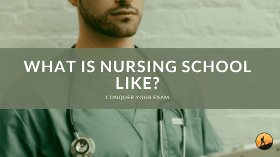 What is Nursing School Like?