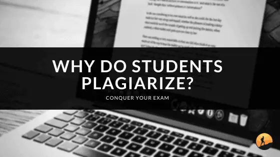 Why Do Students Plagiarize?