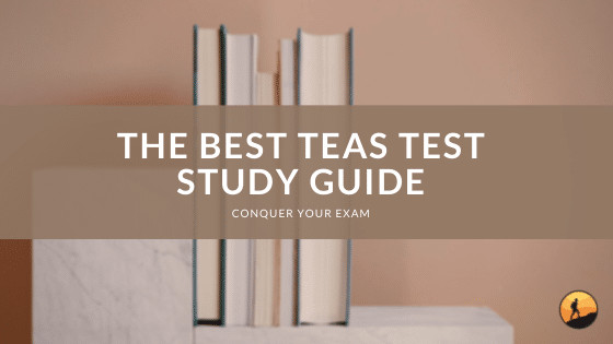 The Best TEAS Test Study Guide