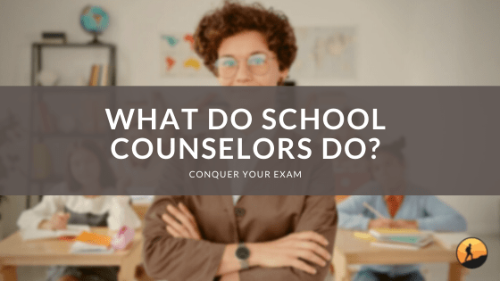 What Do School Counselors Do?