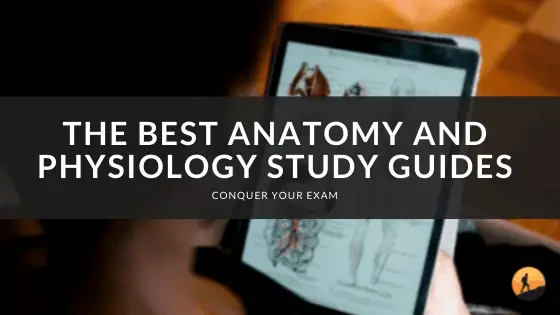 The Best Anatomy and Physiology Study Guides