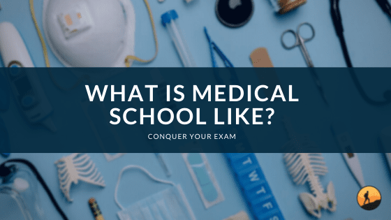 What is Medical School Like?