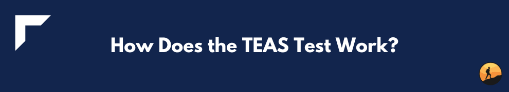 How Does the TEAS Test Work?