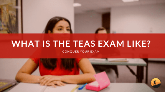 What is the TEAS Exam Like?