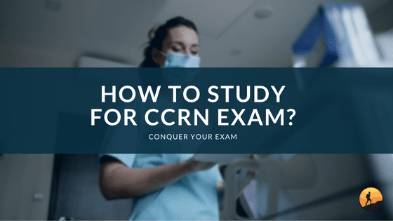 How to Study for CCRN Exam?