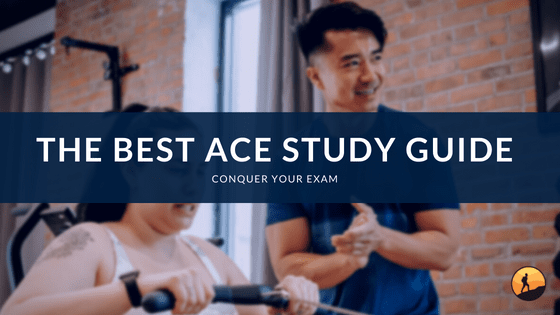 The Best ACE Study Guide