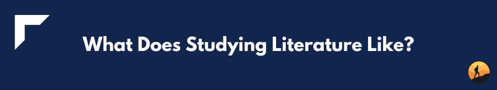 What Does Studying Literature Like?