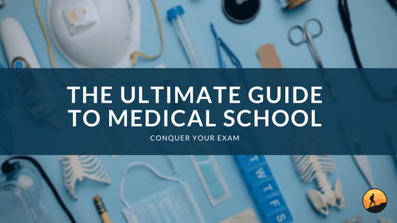 The Ultimate Guide to Medical School