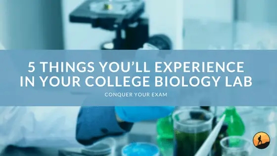 5 Things You’ll Experience in Your College Biology Lab