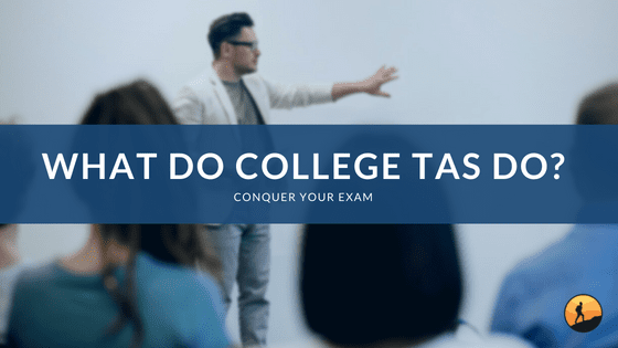 What Do College TAs Do?