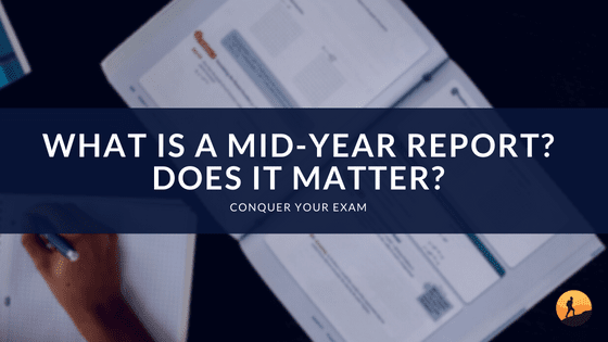 What is a Mid-Year Report? Does it Matter?