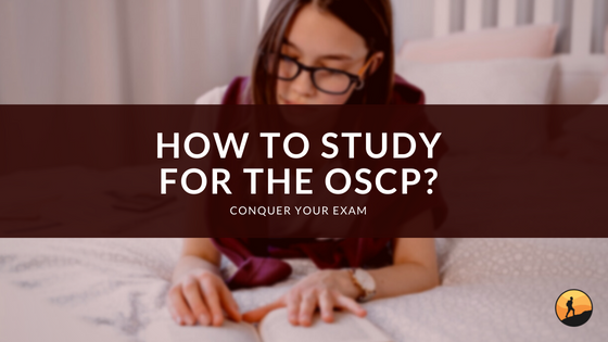 How to Study for the OSCP?