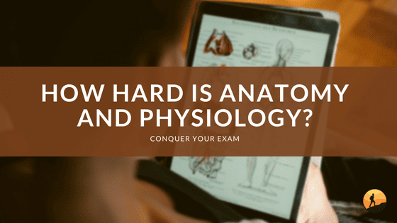 How Hard is Anatomy and Physiology?
