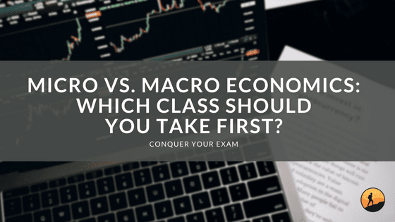 Micro vs. Macro Economics: Which Class Should You Take First?
