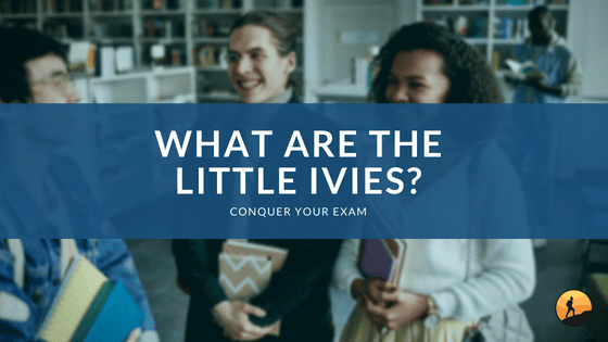What are the Little Ivies?