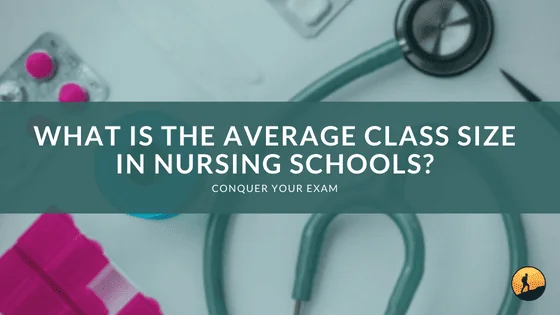 What is the Average Class Size in Nursing Schools?