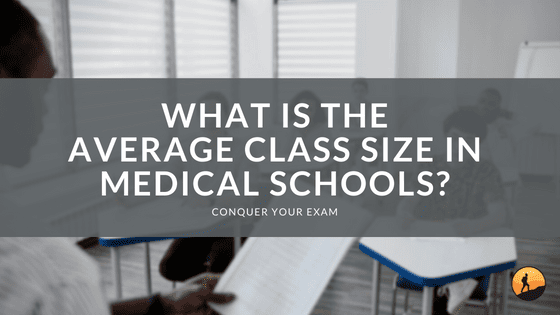 What is the Average Class Size in Medical Schools?